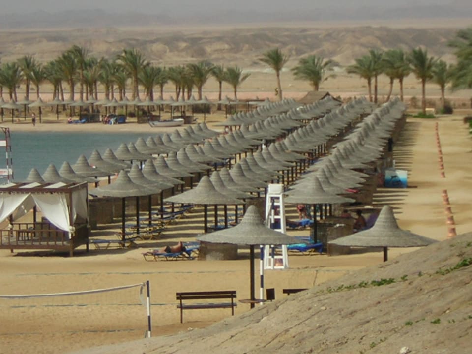 Sehr viele Sonnenschirme Steigenberger Coraya Beach - Adults only