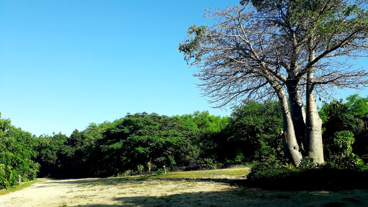 Sonstiges Spice Island Hotel & Resort