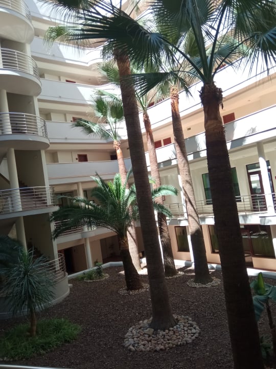 Sonstiges allsun App.-Hotel Orient Beach