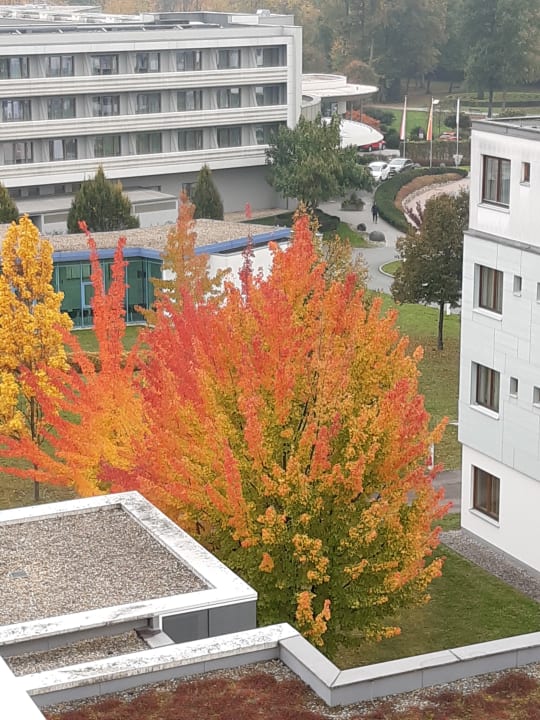 Ausblick Reduce Hotel Vital Bad Tatzmannsdorf