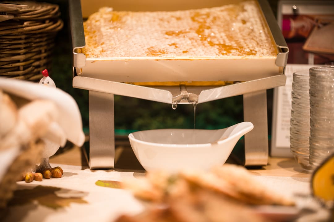 Gastro Naturtraum Georgshöhe