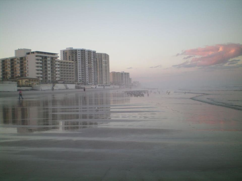 Strand am Hotel Hotel The Shores Resort & Spa