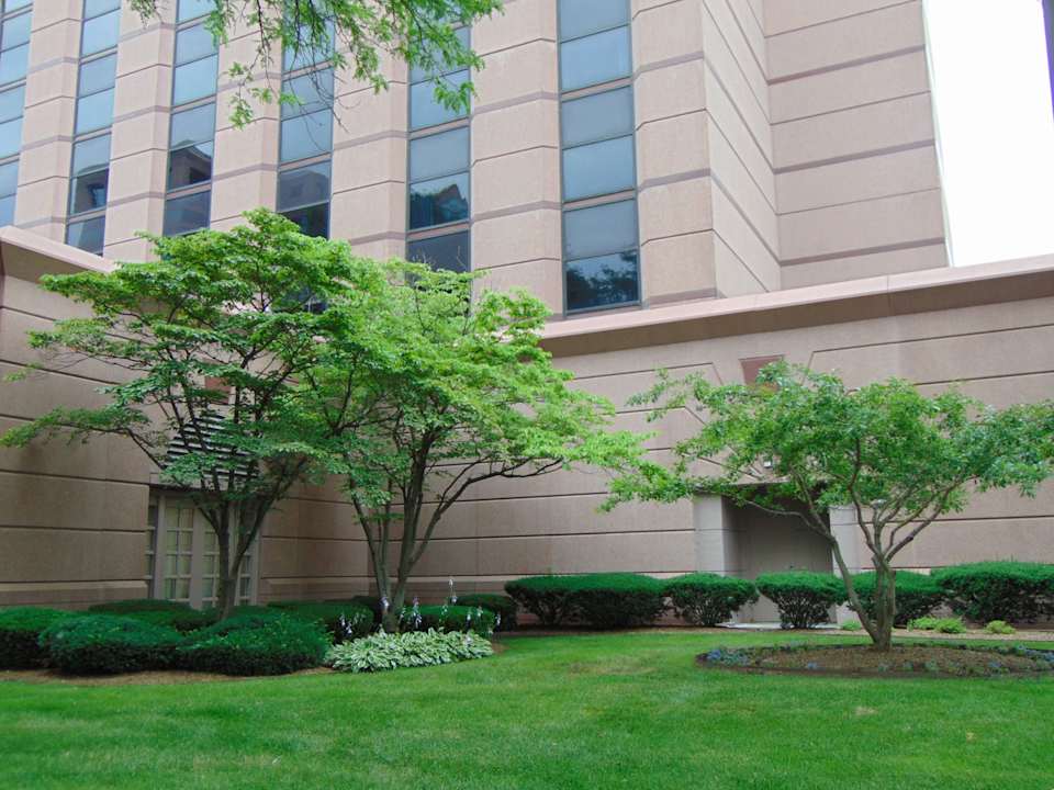 Gartenanlage Hotel The Henry