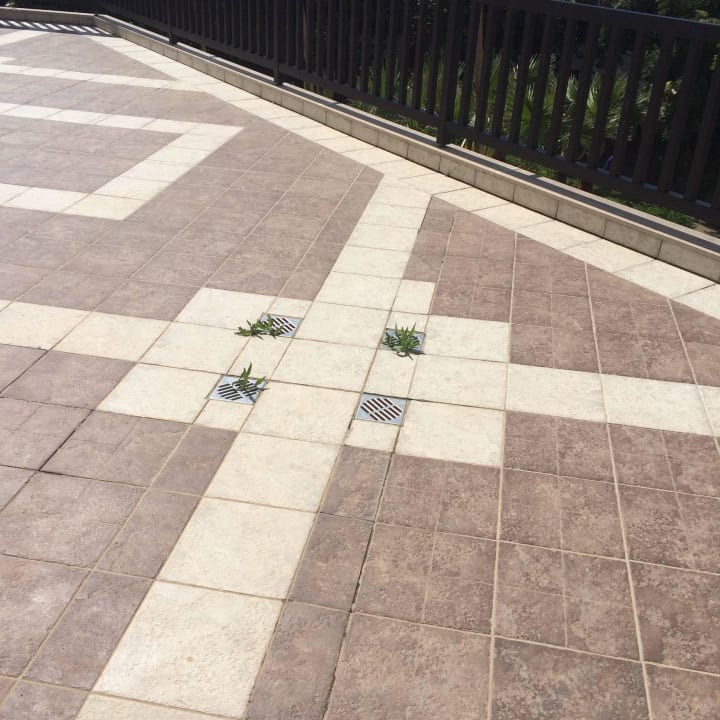 Grünzucht auf der Haupterrasse ROBINSON CYPRUS