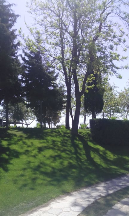 Природа на территории отеля Limak Limra Hotel & Resort