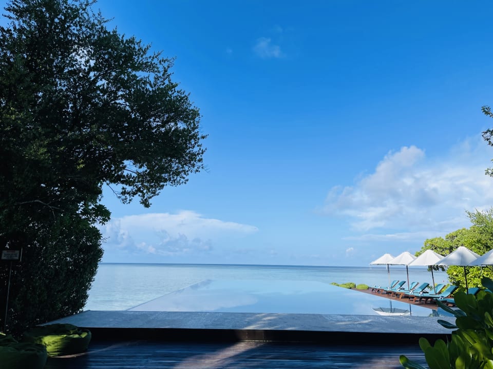 Pool Summer Island Maldives