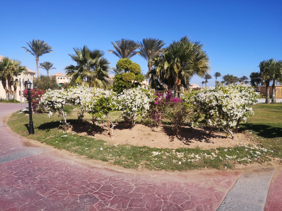 Gartenanlage Cleopatra Luxury Resort Makadi Bay