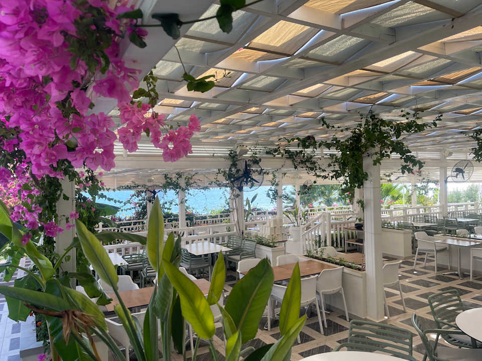 Ausblick Can Garden Resort