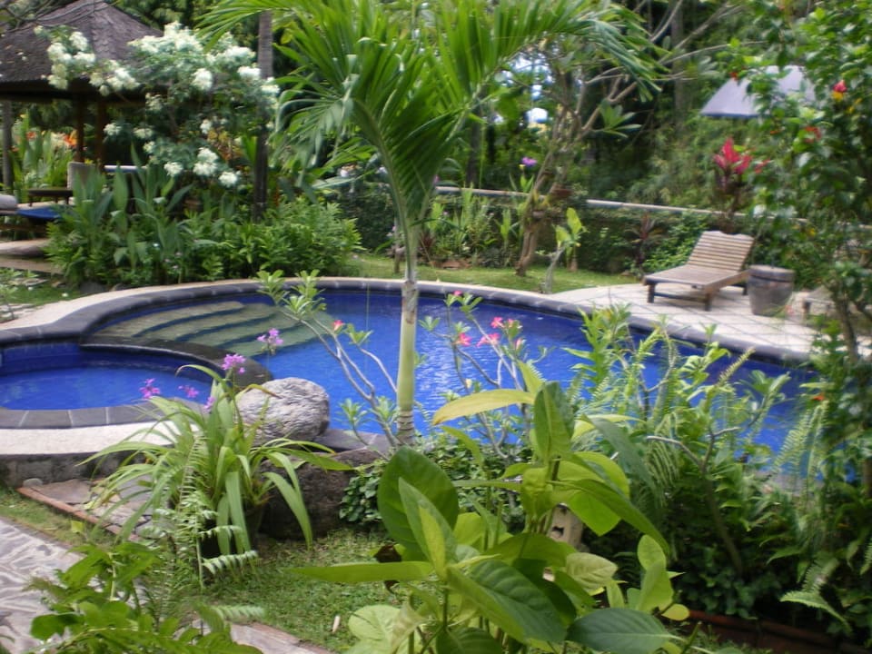 Pool Saraswati Holiday House
