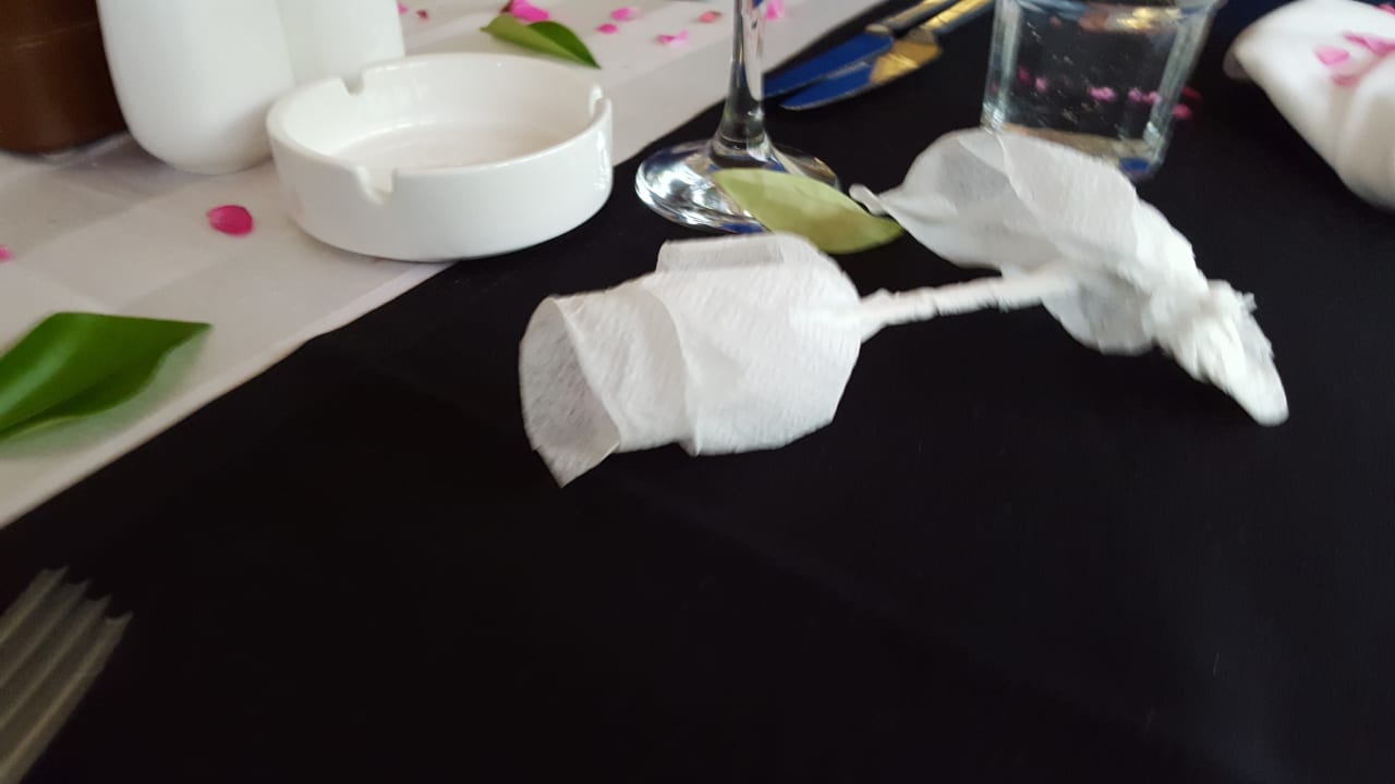 Gastro Well Palace Side