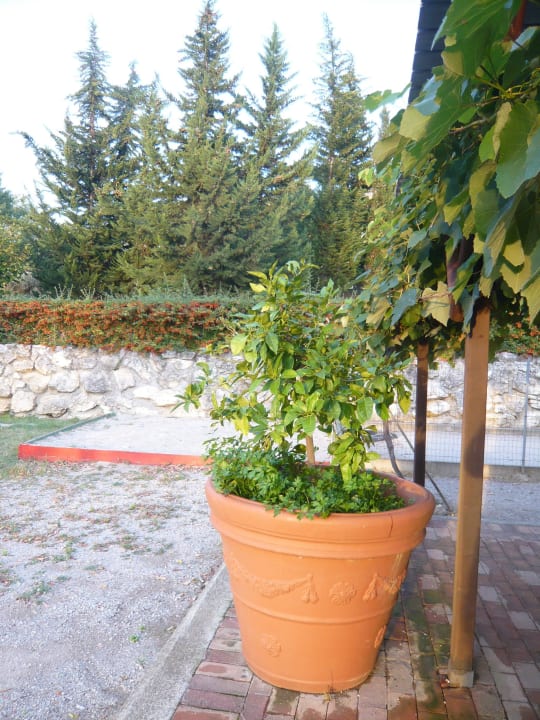 Kräutertopf Agriturismo Belmonte Vacanze Resort