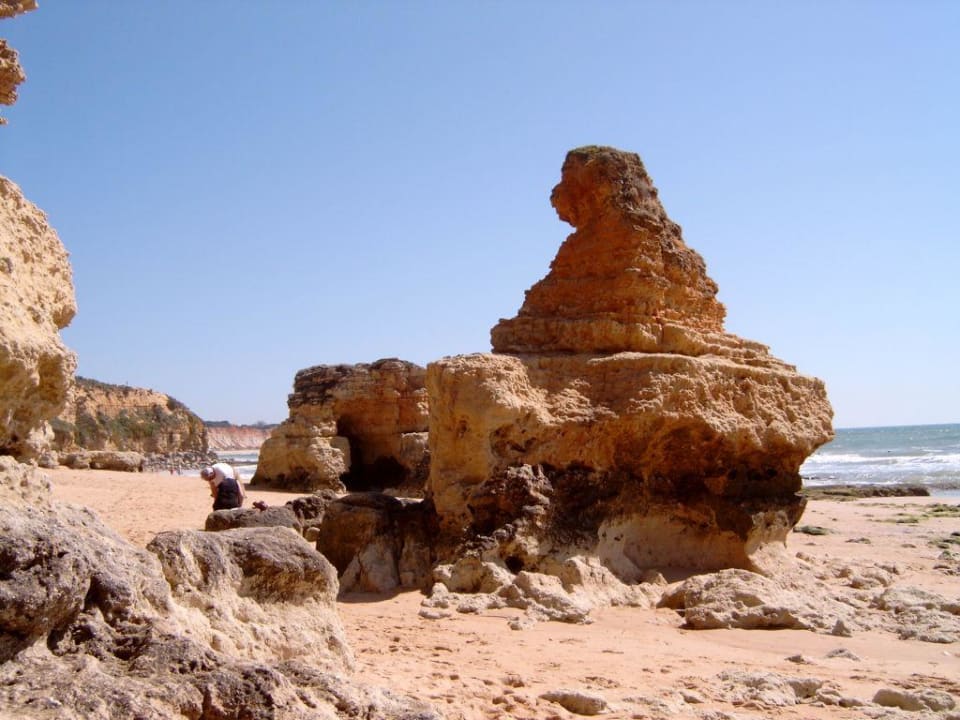 Ein Löwe? PortoBay Falésia