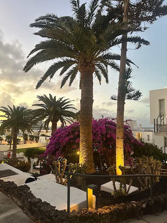 Gartenanlage Sol Fuerteventura Jandia - All Suites