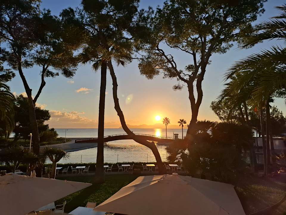 Ausblick allsun App.-Hotel Orquidea Playa