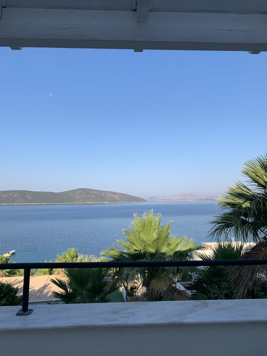 Ausblick TUI MAGIC LIFE Bodrum - Adult Only (16+)