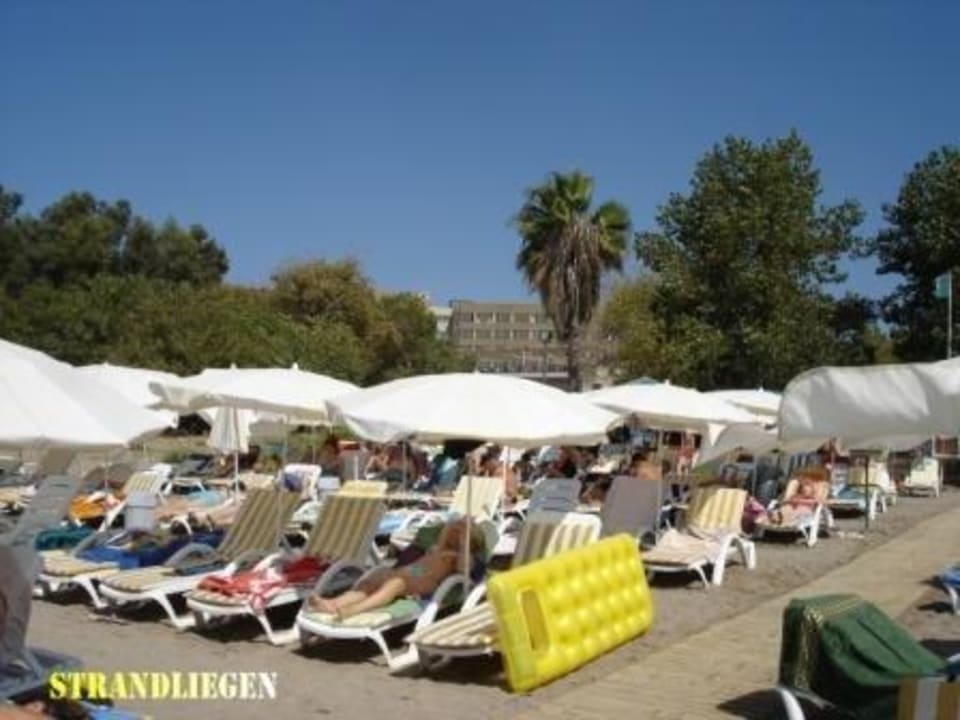 Strand Hotel Gardenia Beach