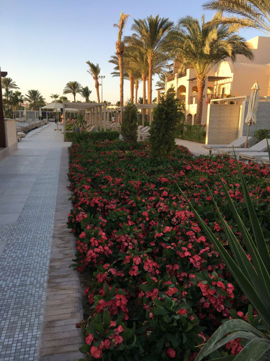 Garten Jaz Makadi Gardens - TUI BLUE Makadi Gardens - Adults Friendly 16 Years Plus