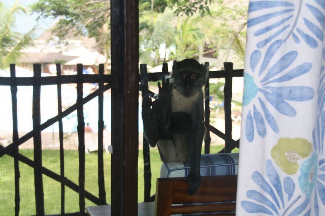 Besuch auf dem Balkon Baobab Beach Resort & Spa