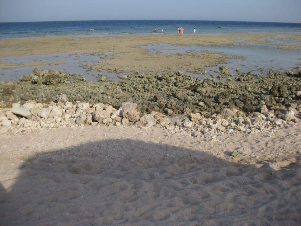 das bedeutet "Naturbelassene Strand"   Makadi Palace