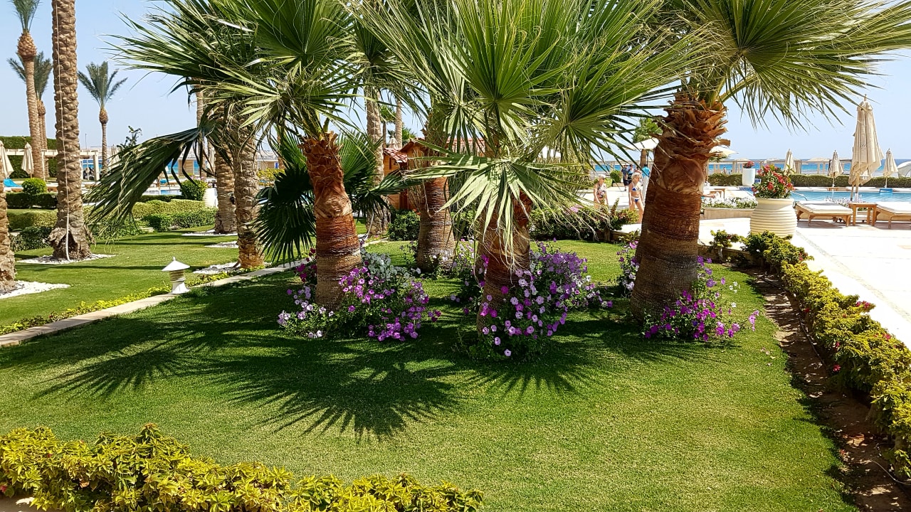Gartenanlage Premier Le Reve Hotel & Spa