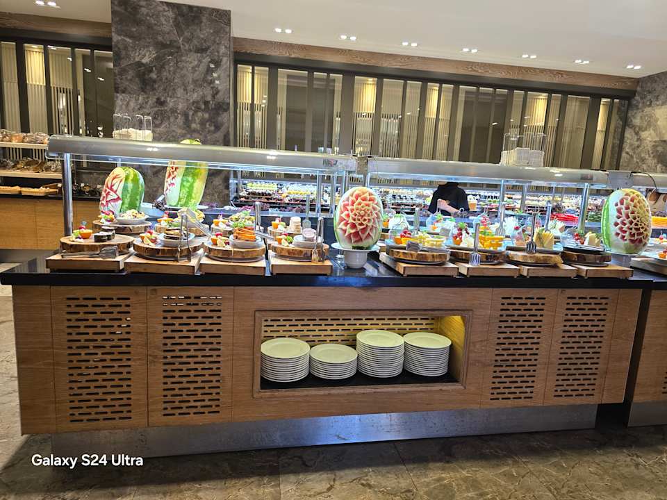 Gastro Seashell Vega