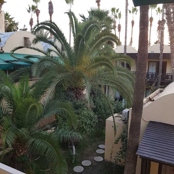 Gartenanlage Hotel Paradis Palace