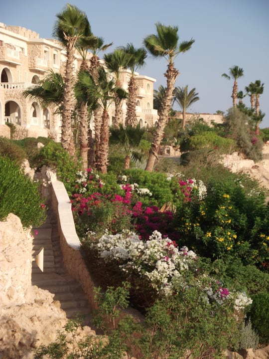 Gartenanlage  Pickalbatros Citadel Resort