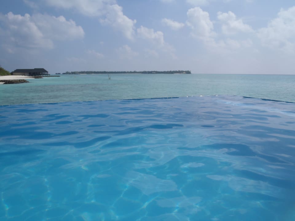 Pool Summer Island Maldives