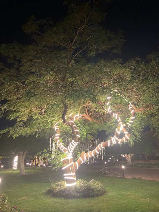 Gartenanlage Pharaoh Azur Resort