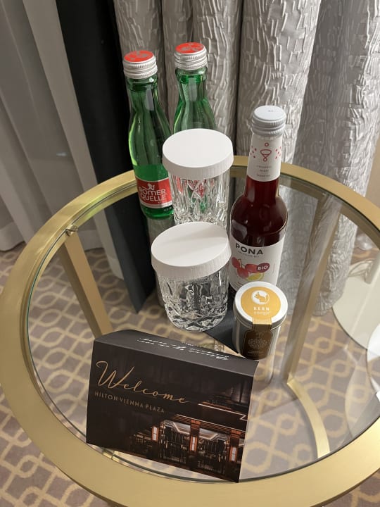 Zimmer Hilton Vienna Plaza