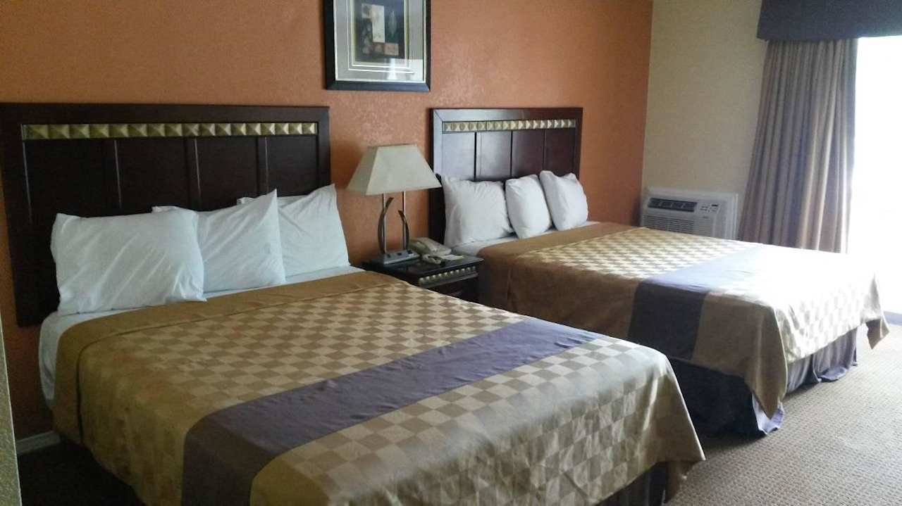 Zimmer - Kingsize Betten Hotel Days Inn Palm Springs