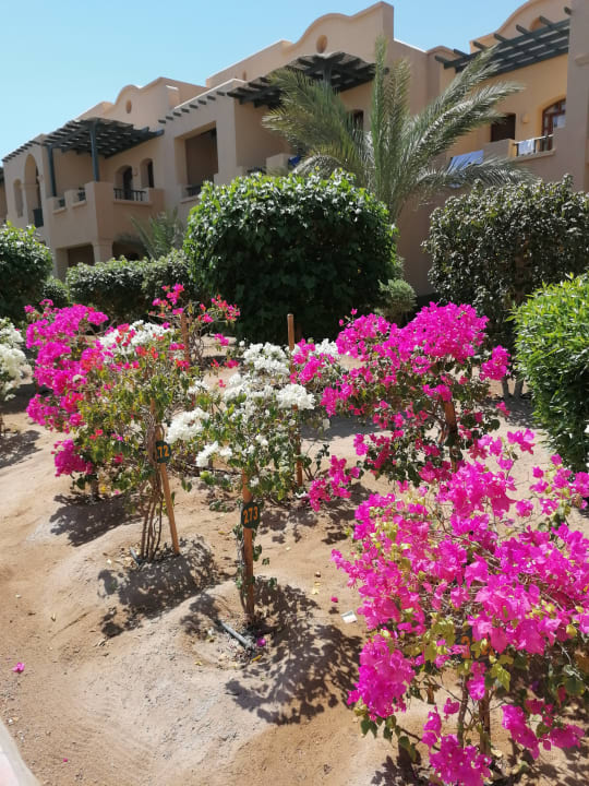 Außenansicht Three Corners Rihana Resort Deluxe