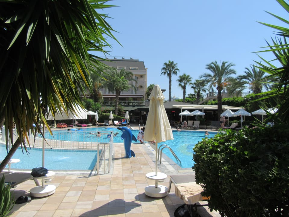 Pool Calimera Hane Garden