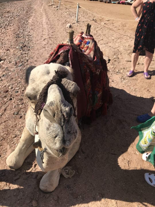 Sonstiges Happy Life Village