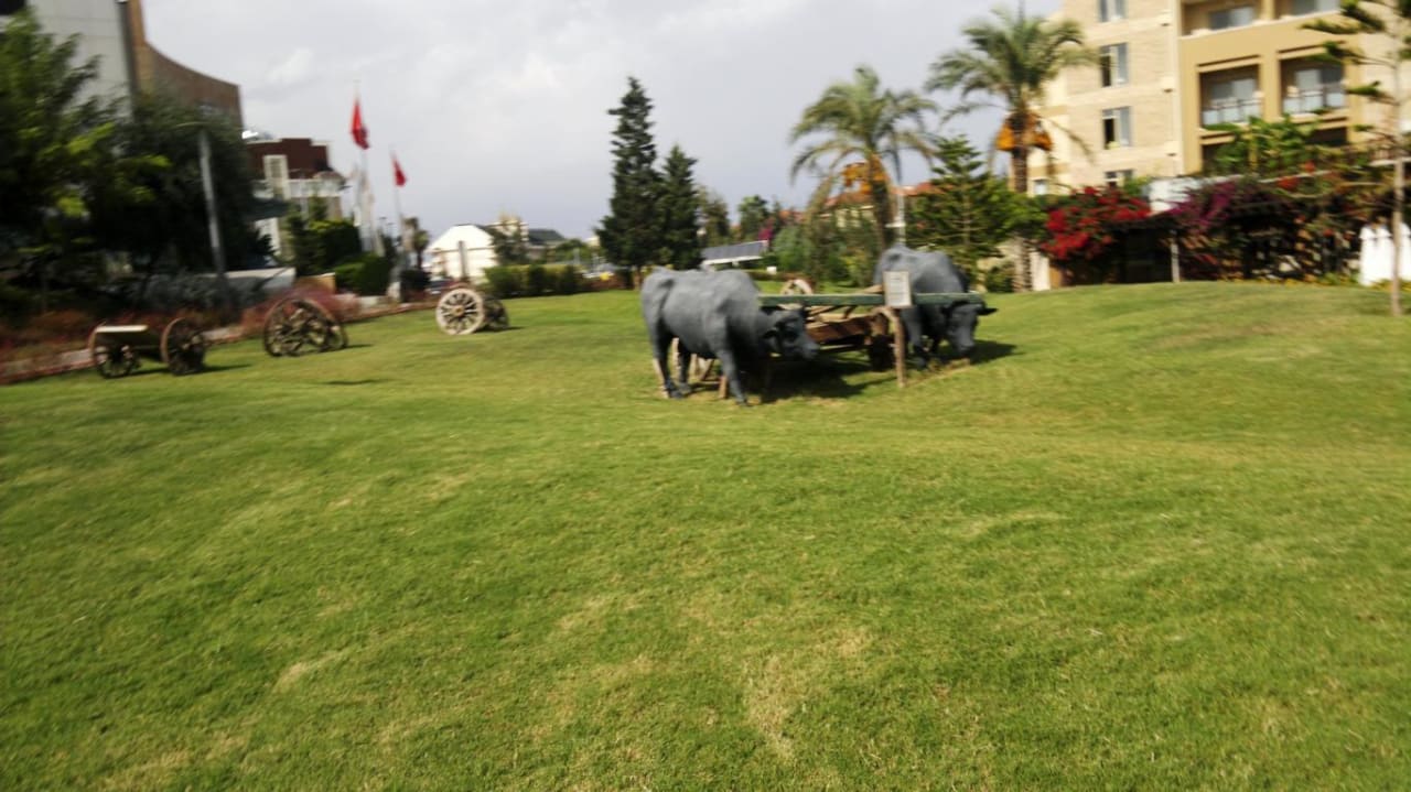 Außen/Ausblick/Garten/Anlage TUI BLUE Xanthe