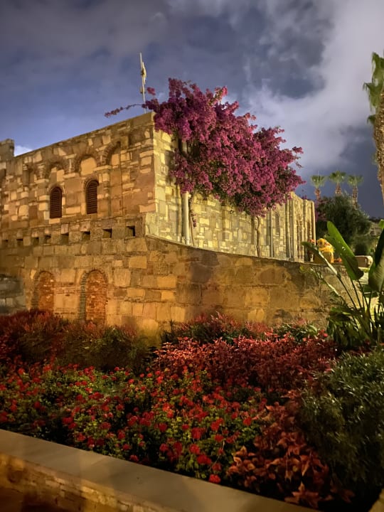 Gartenanlage Arum Barut Collection