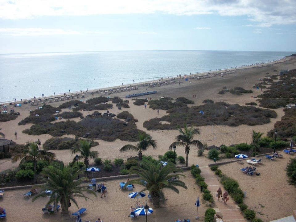 Blick auf den Hotelstrand, zu wenige Liegen! SBH Crystal Beach Hotel & Suites
