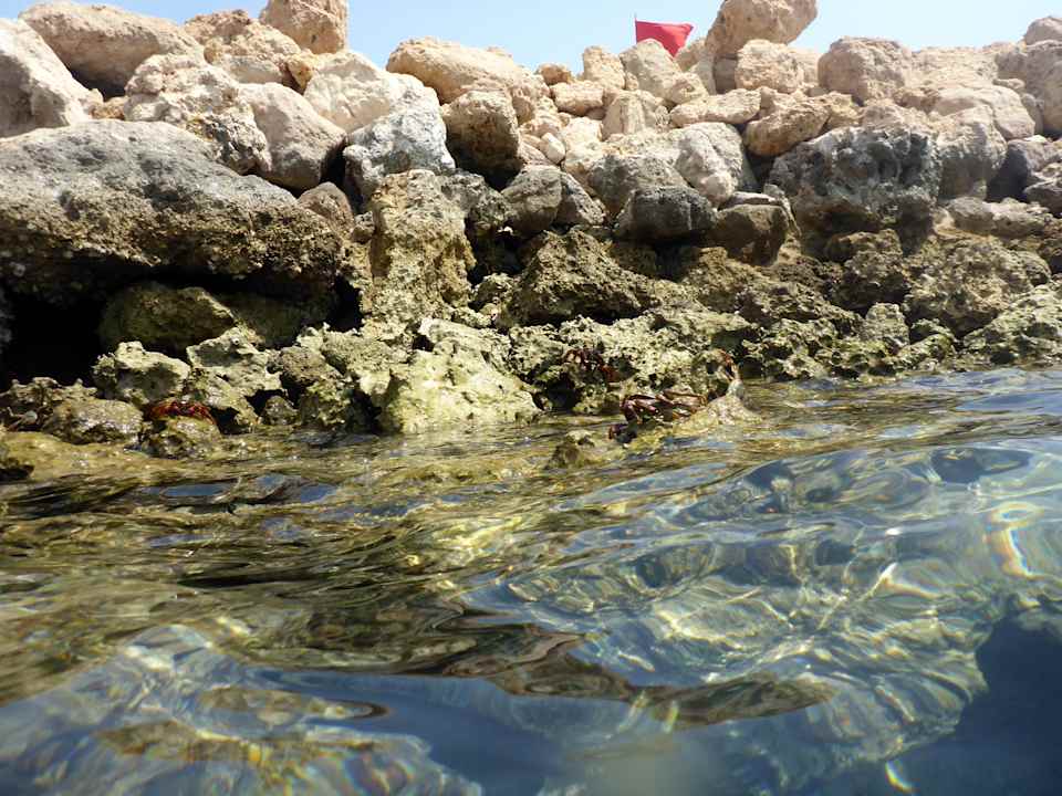 Strand Pickalbatros Citadel Resort