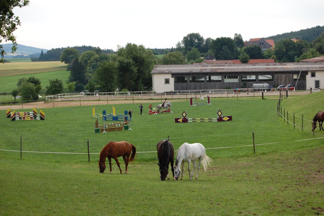 Dressurplatz, Sprinplatz und 2 Reithallen Kollerhof