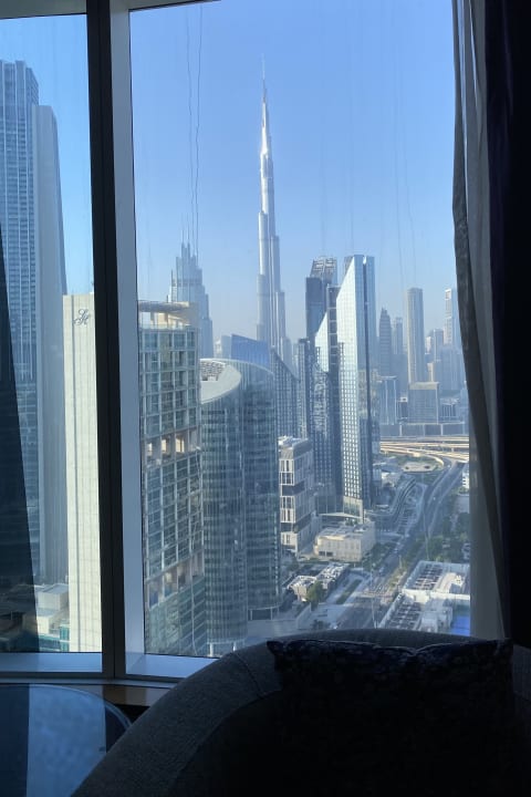 Ausblick Rose Rayhaan by Rotana
