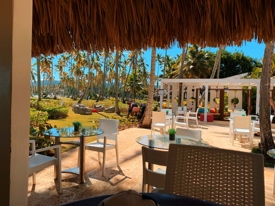 Gastro Wyndham Alltra Samana