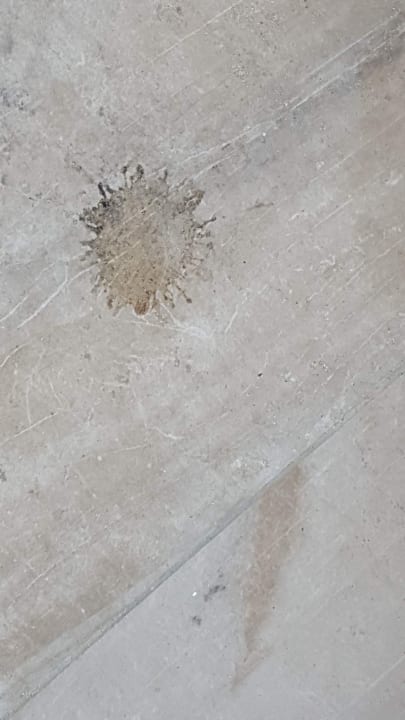 Zimmer Burgas Beach Hotel