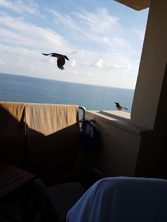 Ausblick Melas Resort Hotel