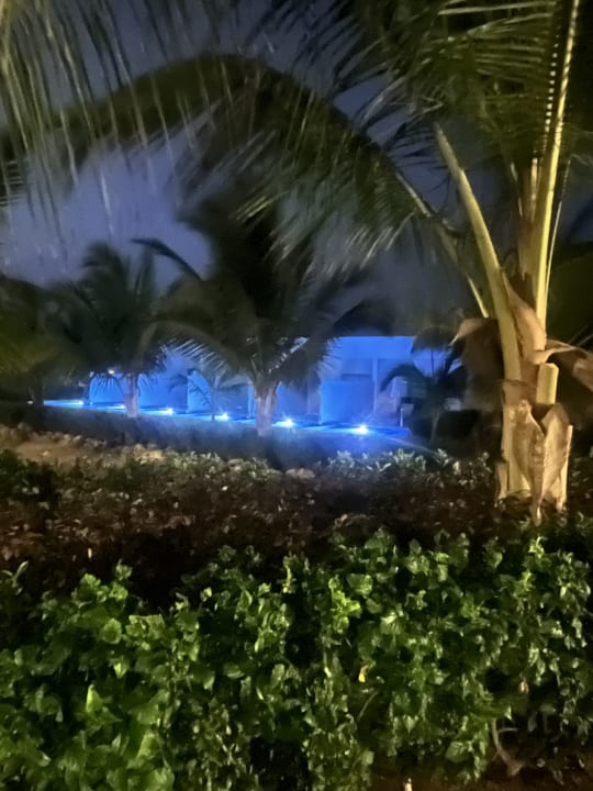 Gartenanlage Hotel Riu Palace Boavista