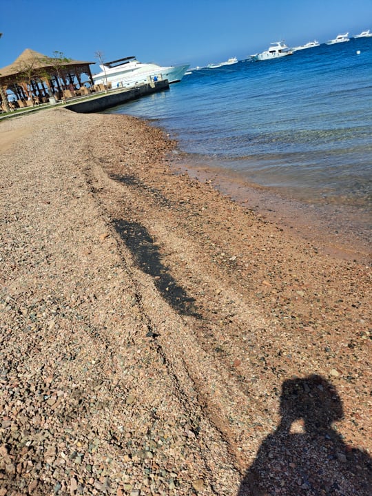 Strand The Grand Palace - Adults only