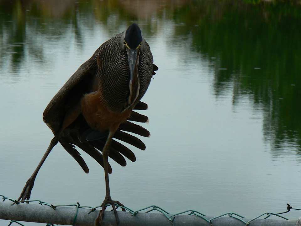 Bitte schön Grand Palladium Kantenah Resort & Spa
