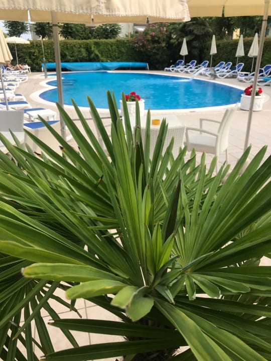 Pool Hotel Helios