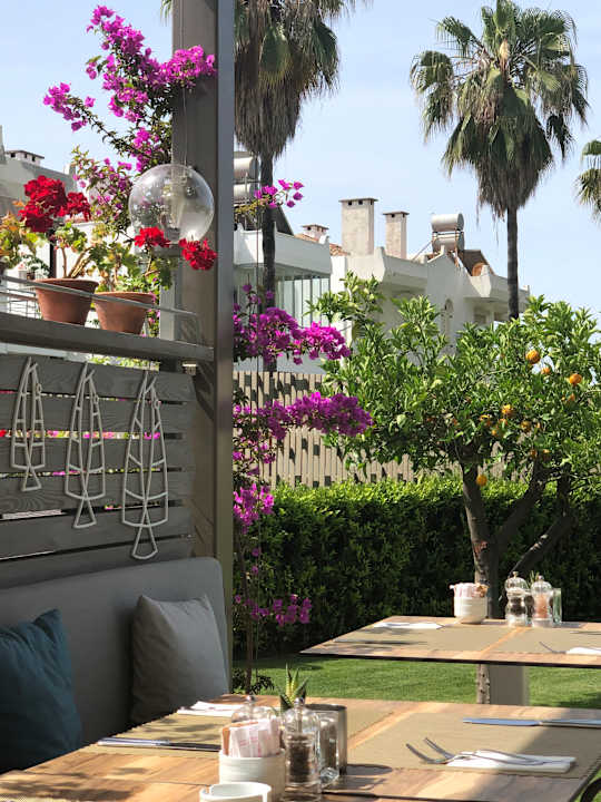 Gastro Acanthus Cennet Barut Collection