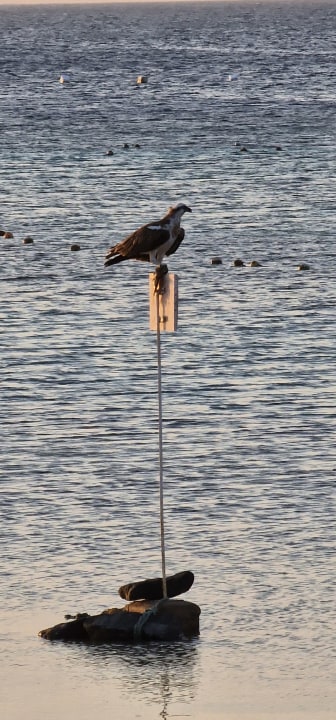 Strand Makadi Spa - Adults only