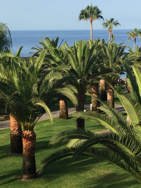 Ausblick Hotel Riu Palace Tenerife